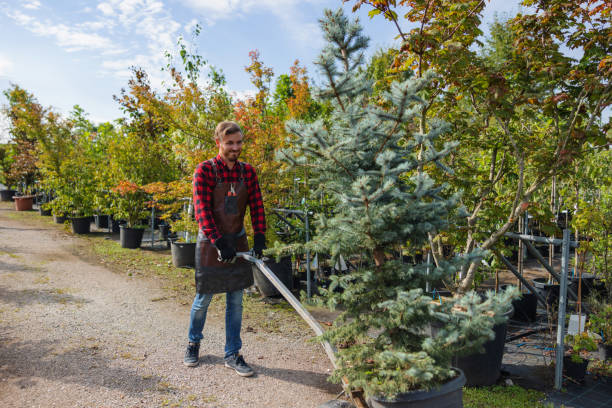 Best Soil Testing and Treatment  in Edmonds, WA